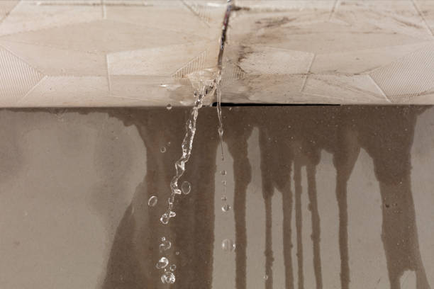 Professional Sewage Cleanup technician working in Bock, MN